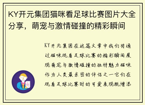 KY开元集团猫咪看足球比赛图片大全分享，萌宠与激情碰撞的精彩瞬间